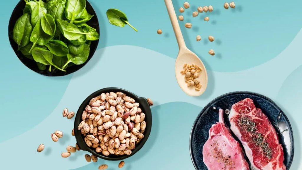 Unraveling the Protein Puzzle: Animal-Based vs. Plant-Based Proteins